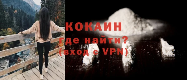гидра Арсеньев