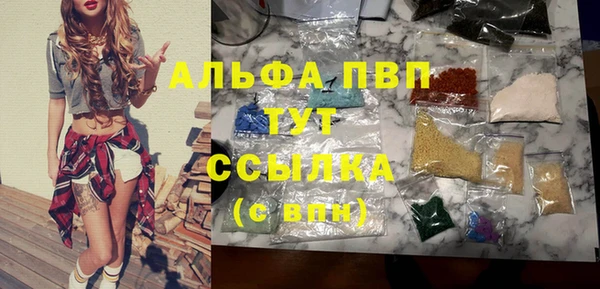 гидра Арсеньев