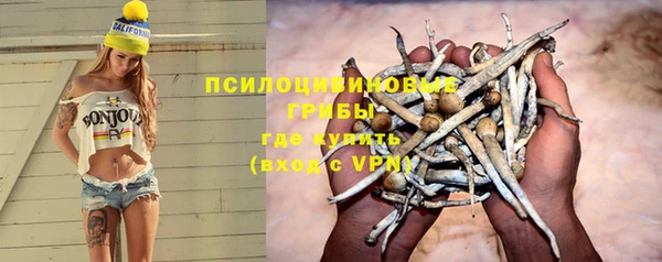 apvp Приозерск
