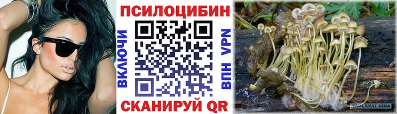 Псилоцибиновые грибы мицелий  MEGA как зайти  Осинники 